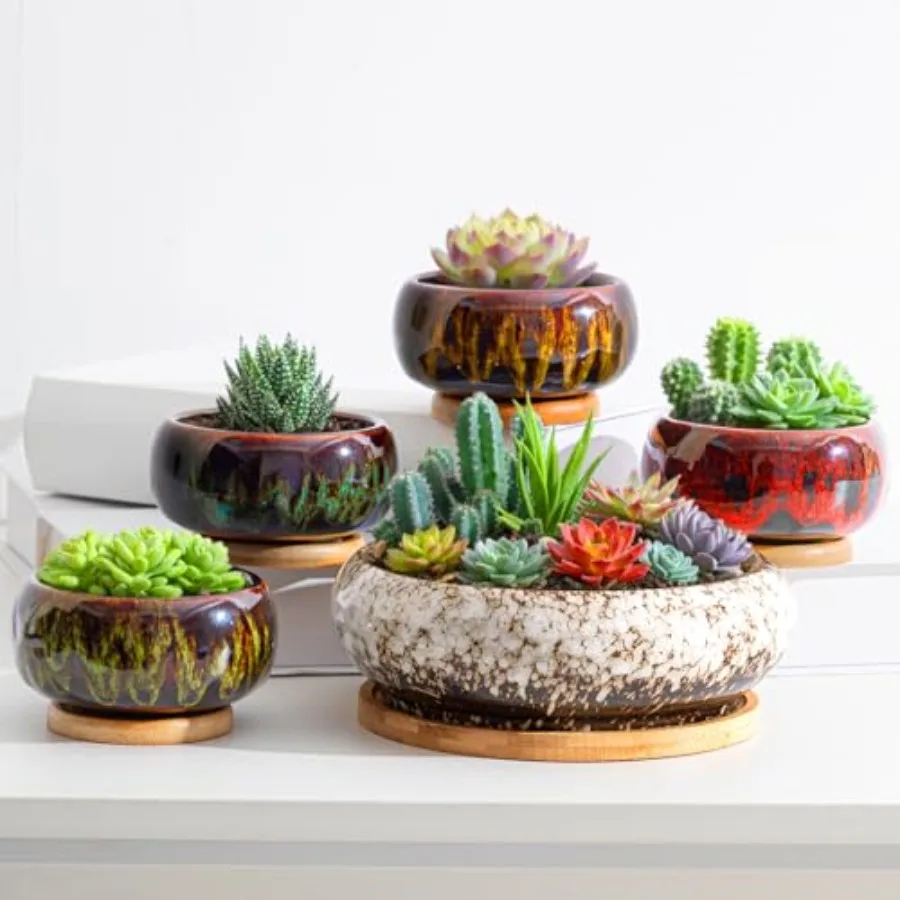 

Pcs and 4'' Round Large Shallow Succulent Ceramic Planter Pots with Drainage Hole Drip Glazed Shallow Bonsai Pot with Bamboo Tr