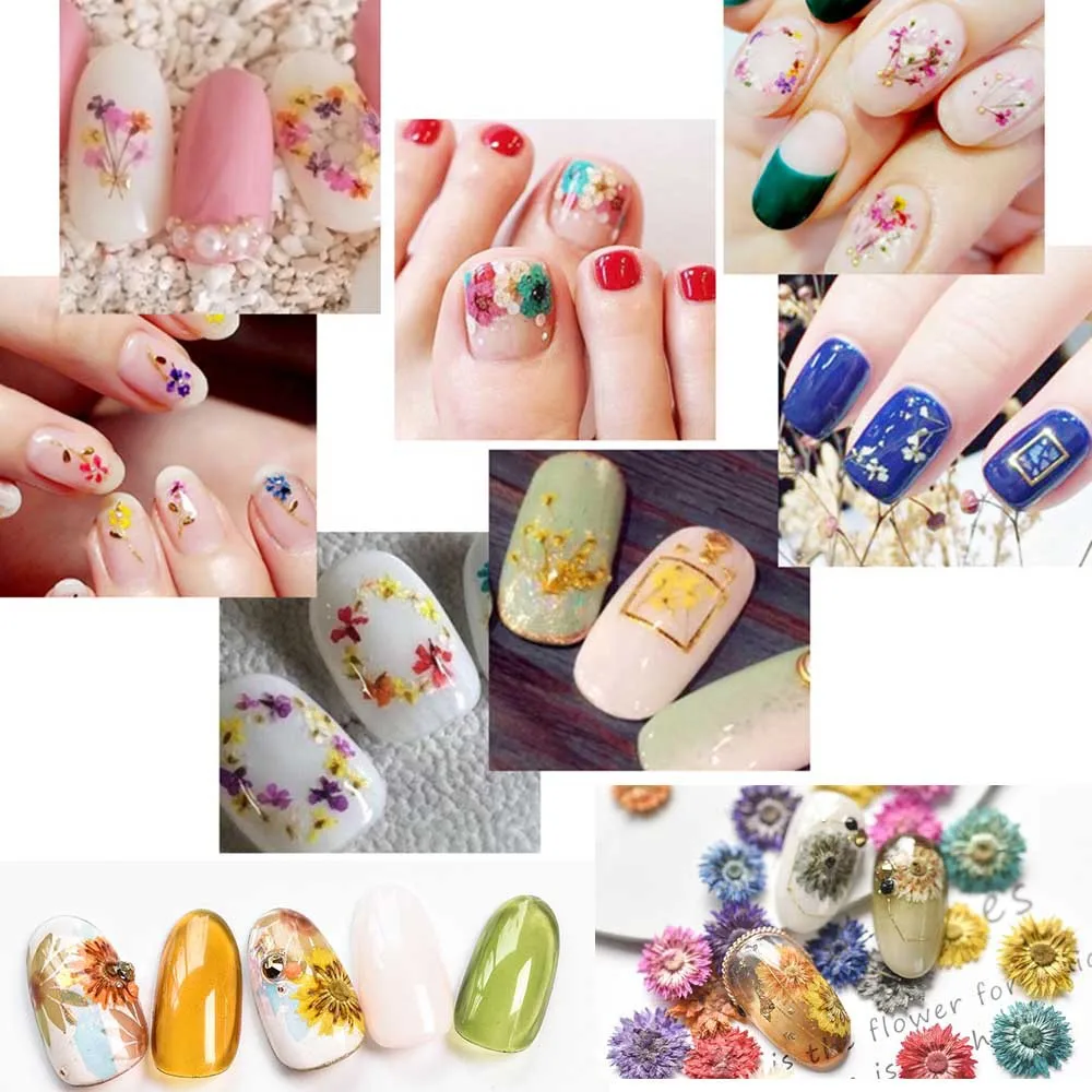 Mini Dried Flower Material Package 12 Color Hydrangea Daffodils Small Daisy Manicure Stickers Japanese