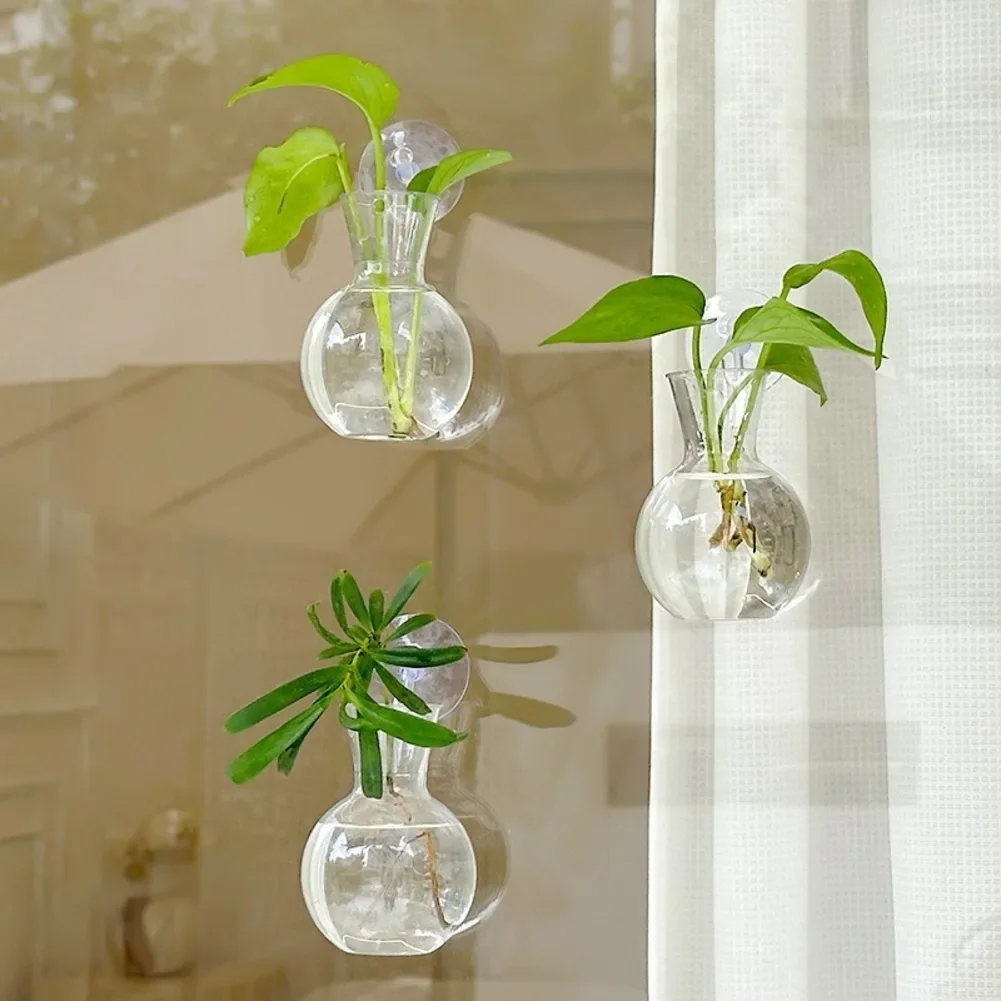 Bulb-Shaped Transparent Vase with Suction Cups and Hooks for Water-Based For Plant Propagation on Vertical Smooth Surfaces