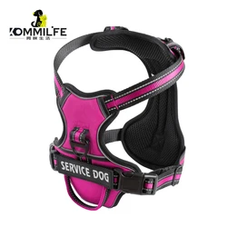 Harnais de chien en nylon gilet harnais chien réfléchissant étiquette d'identification personnalisée laisse de harnais pour animaux de compagnie réglable respirante pour petits chiens de taille moyenne