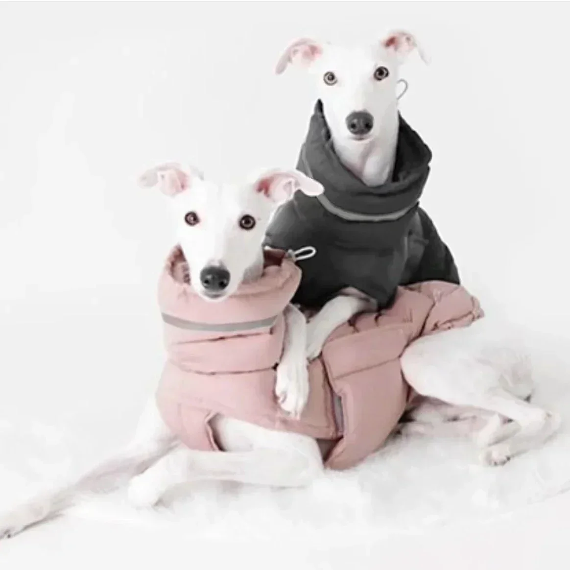 Winter Warm Dog Clothes Windproof Waterproof Thick Pet Dog Down Jacket Adjustable Cotton Large Dog Parkas Clothing Pet Supplies