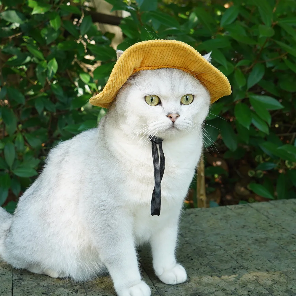 Adjustable Cat Hat Pet Fisher Cap Dog Sun Hat With Ear Hole For Visor Sun Grooming Cosplay Camping Cat Supplies Dog Accessories