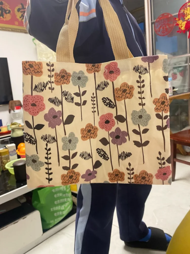 Large Capacity Nice Single Shoulder Bags for Women, Ins Style Canvas Bag, Tote Bag for Class Commuting Bag Shopping Bags