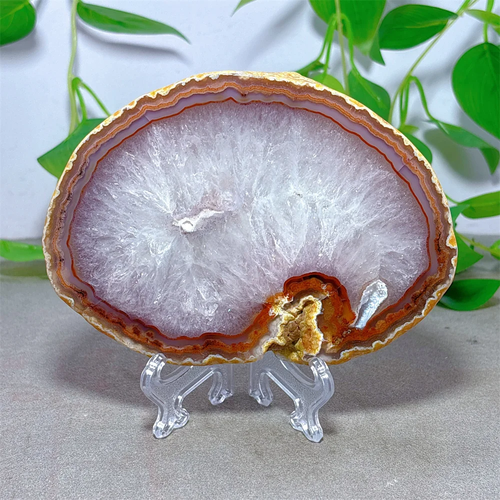 Brown Agate Slab Natural Crystal Quartz Minerals Stone Home Decoritems Reiki Garden Love Gifts Energy Healing Lucky +Stand