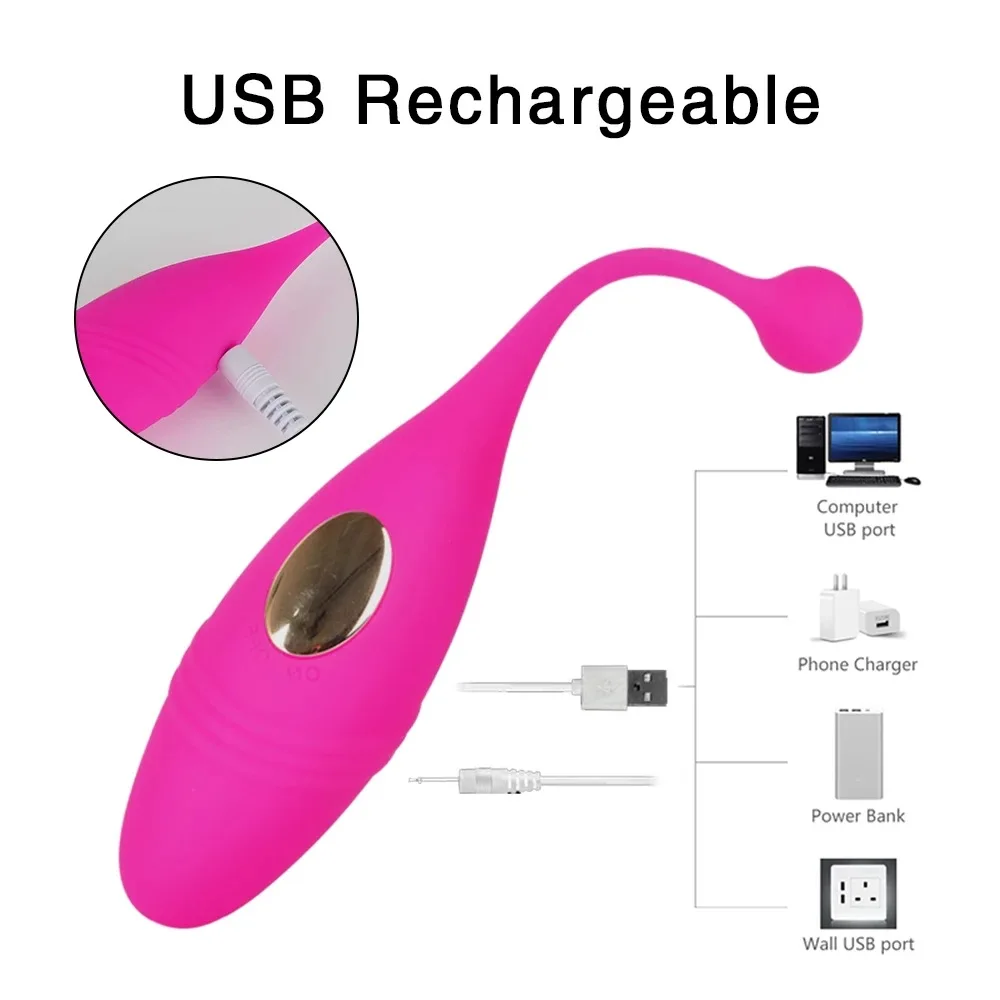 Panties Wireless Remote Control Jump Egg Vagina Vibrating Egg Wearable Balls G-Spot Clitoris Massager Adult Sex Toys for Women