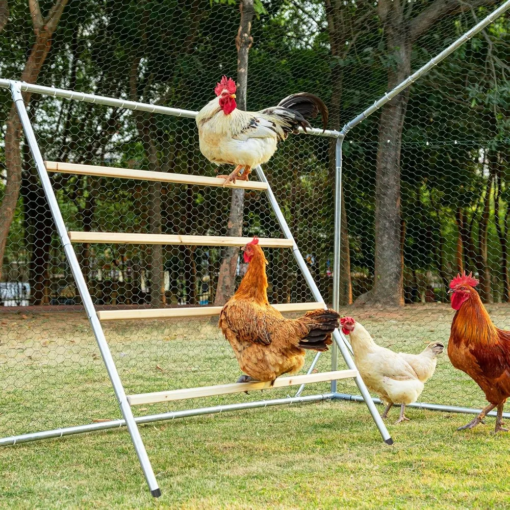 

Square Chicken Roosting Perch, Perfect for Backyard Poultry, Chickens Perch for Coop, Easy to Assemble&Clean, Farm Chick