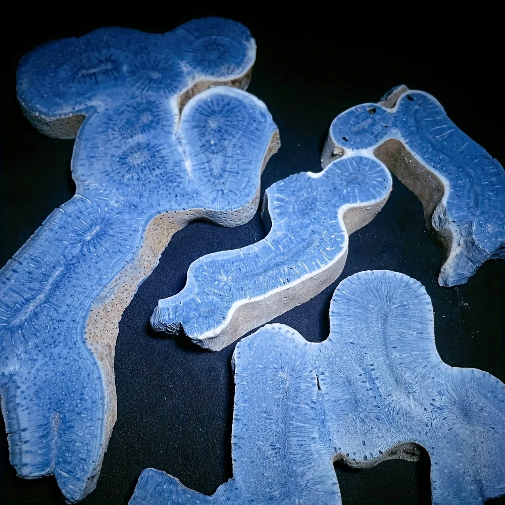 1pc High-Quality Blue Ocean Coral Slab - Bohemian Style, Irregular Shape, Ideal for Room & Table Decor