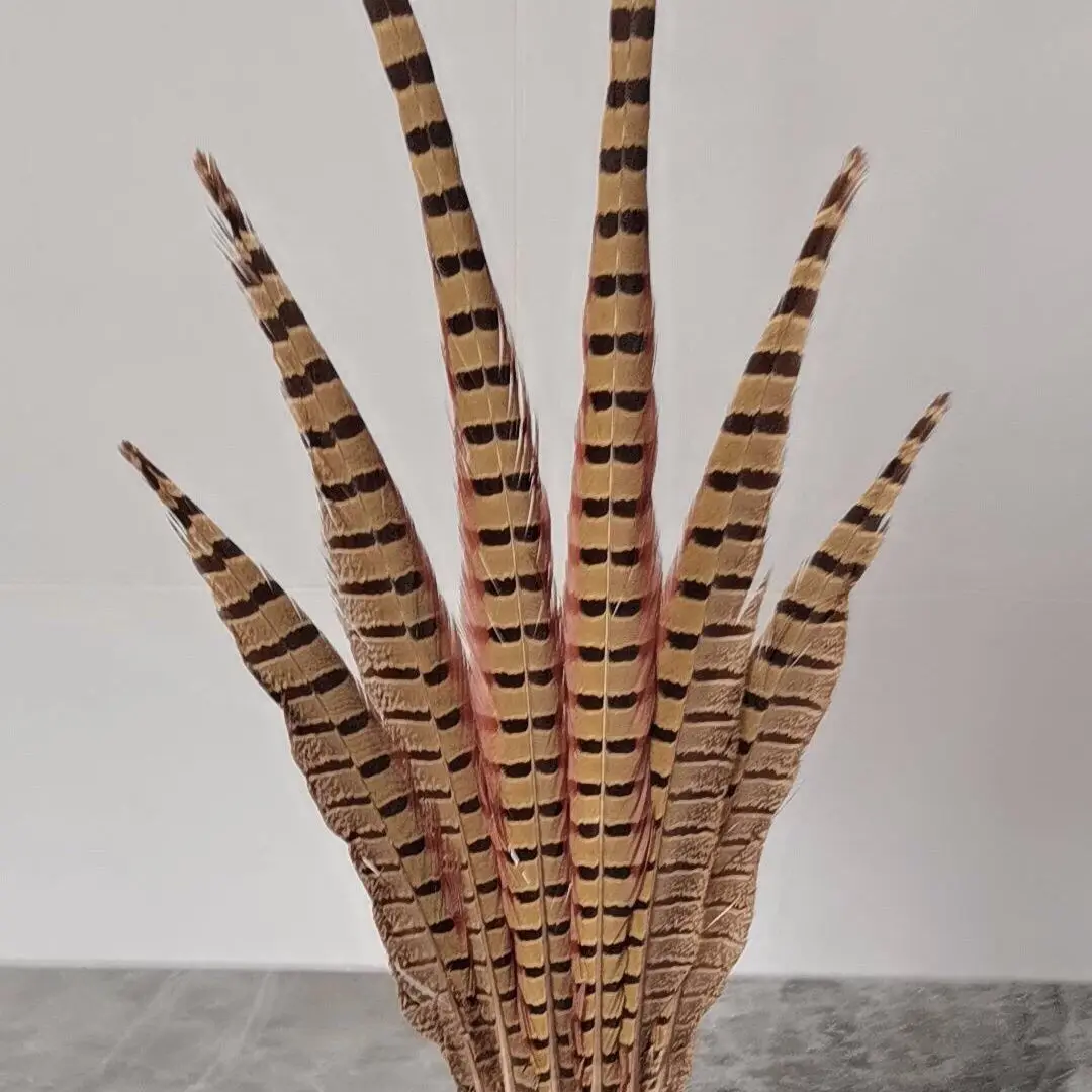 

Chicken Feather Peking Opera Feather Accessories Pheasant Pheasant Stage Performance Decorative Opera Colorful Pheasant Tail Hai