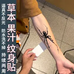 Herbal Spider Fake Tattoo for Woman Man Arm Punk Tattoo Waterproof Cobweb Art Temporary Tattoos Sticker Lasting Stickers