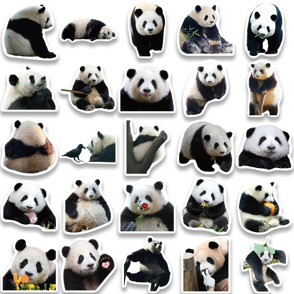 50 Stuks Schattige Panda Cartoon Dieren Graffiti Stickers Diy Telefoon Gitaar Laptop Notebook Cup Waterdichte Sticker Kids Speelgoed