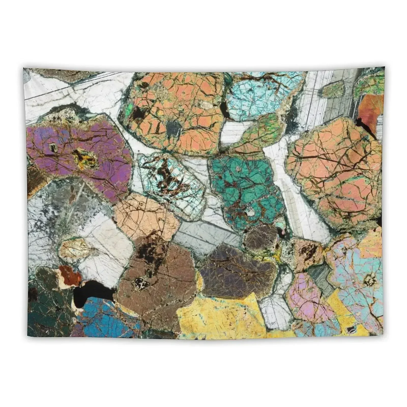 

Geology gift - Peridotite from Ardnamurchan, Scotland Rock Thin Section Microscope Photo Tapestry Room Decor Cute Tapestry