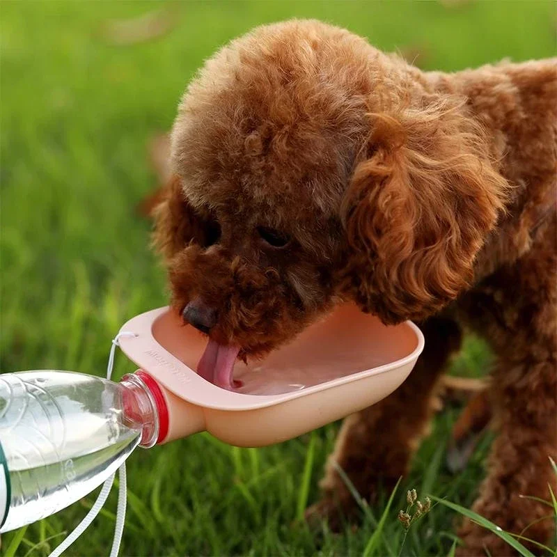 Outdoor portable drinking travel dog water bowl bottle