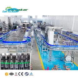 Automatic Small Business Liquid Packing Machine Pure Water Making Production Line Bottle Water Filling Machine