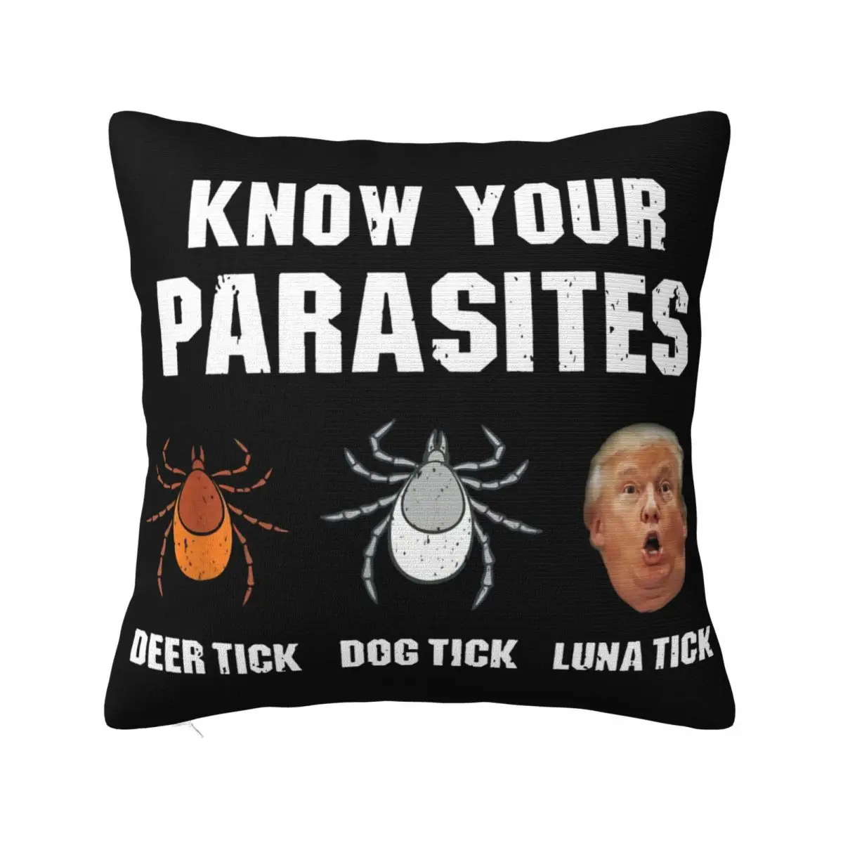 Us Your Parasites Against Trump Unisex Lightweight Oversize Slim Fit Mens Fresh Design Pillow Case