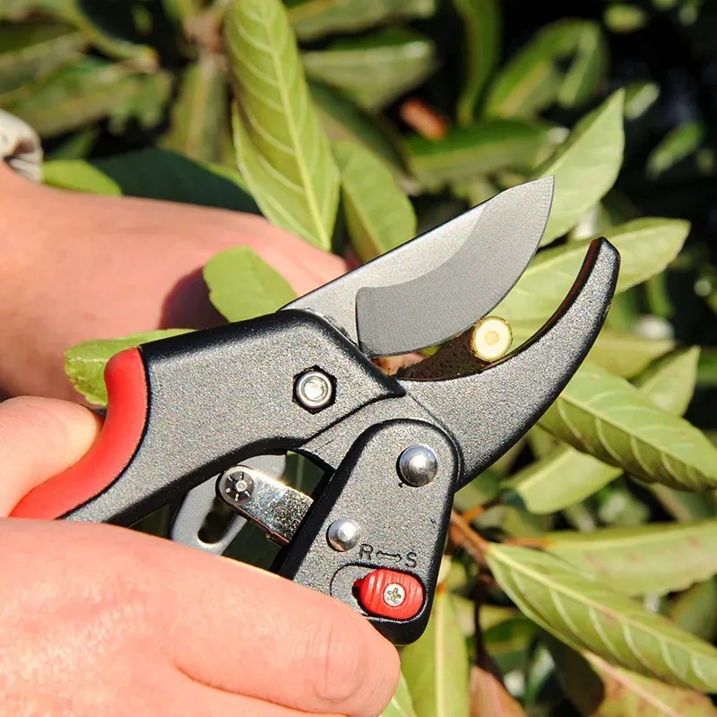 Thumbnail 2 - #10 Highest Rated Pruning Shears to Buy in 2026