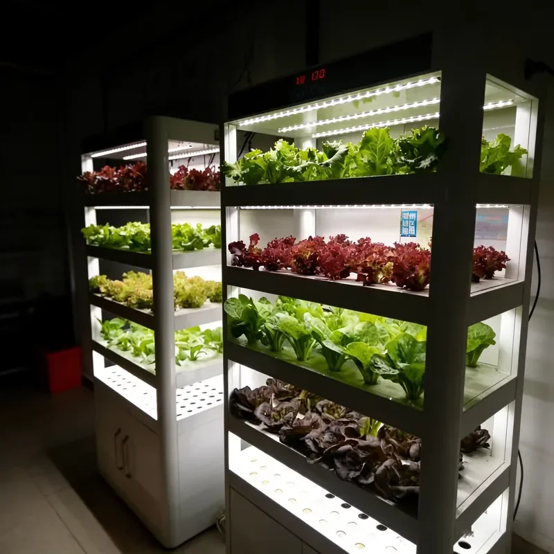 Green Lifestyle M2 Carbon Steel Eco-Friendly Sensor Smart Indoor Farm 220V 110V 152 Plants Hydroponic Full Spectrum LED