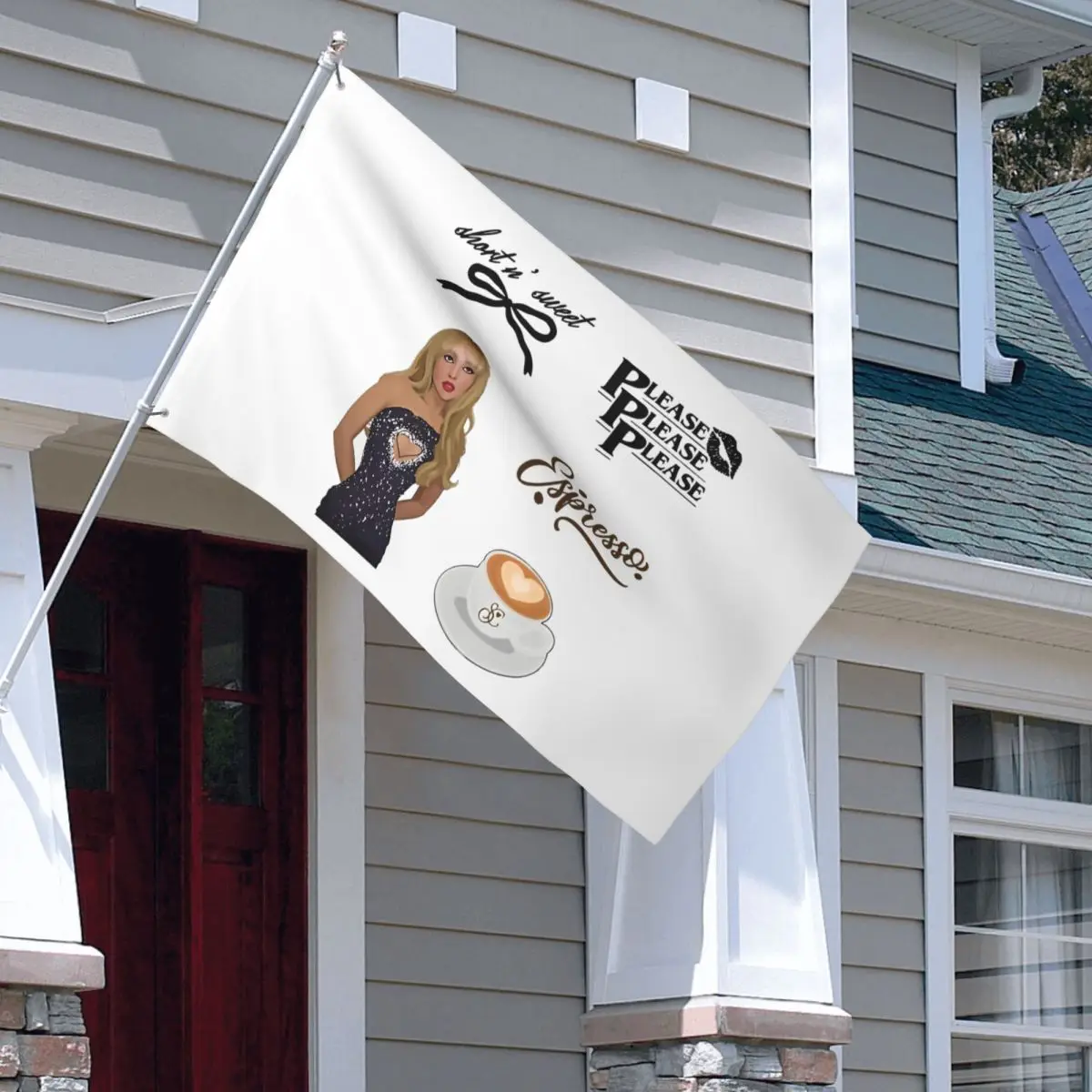 Sabrina Carpenter Pack Flag Indoor Outdoor Banner Polyester Please Music Decoration Vivid Color 2x3 3x5 4x6 5x8 FT Flags
