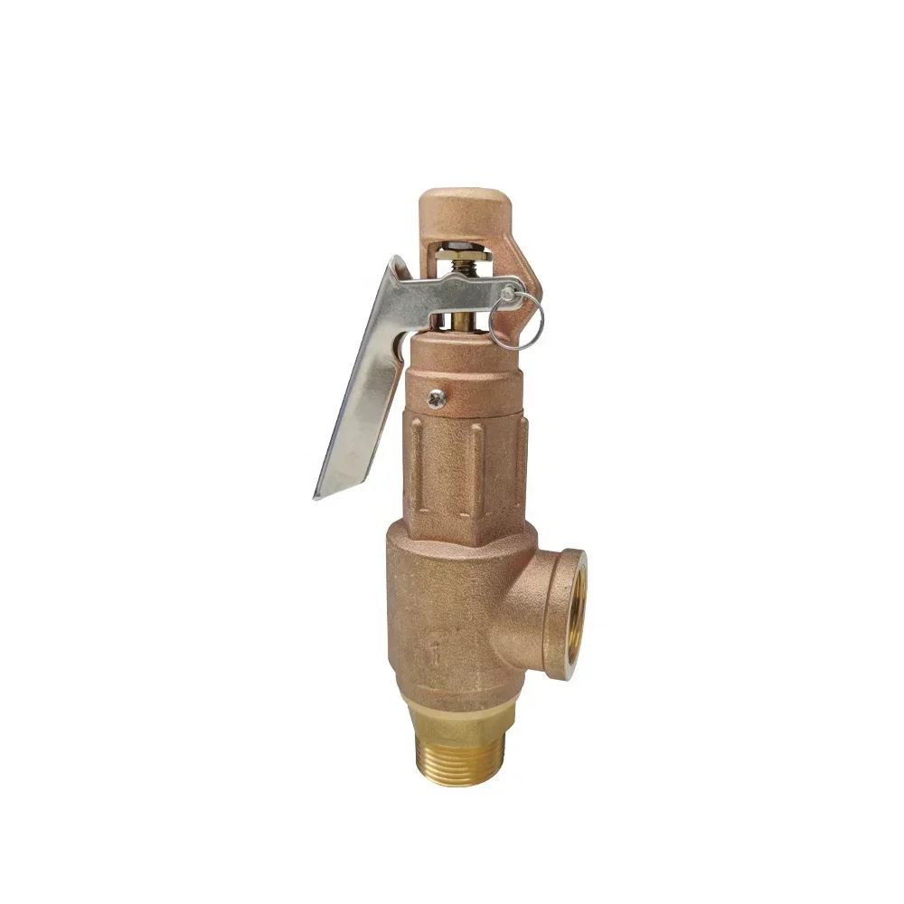 Hot SalesFor A21W Boiler Safety Relief Valve With Lever High Lift Type Spring Loaded Safety Valve DN25 PN16