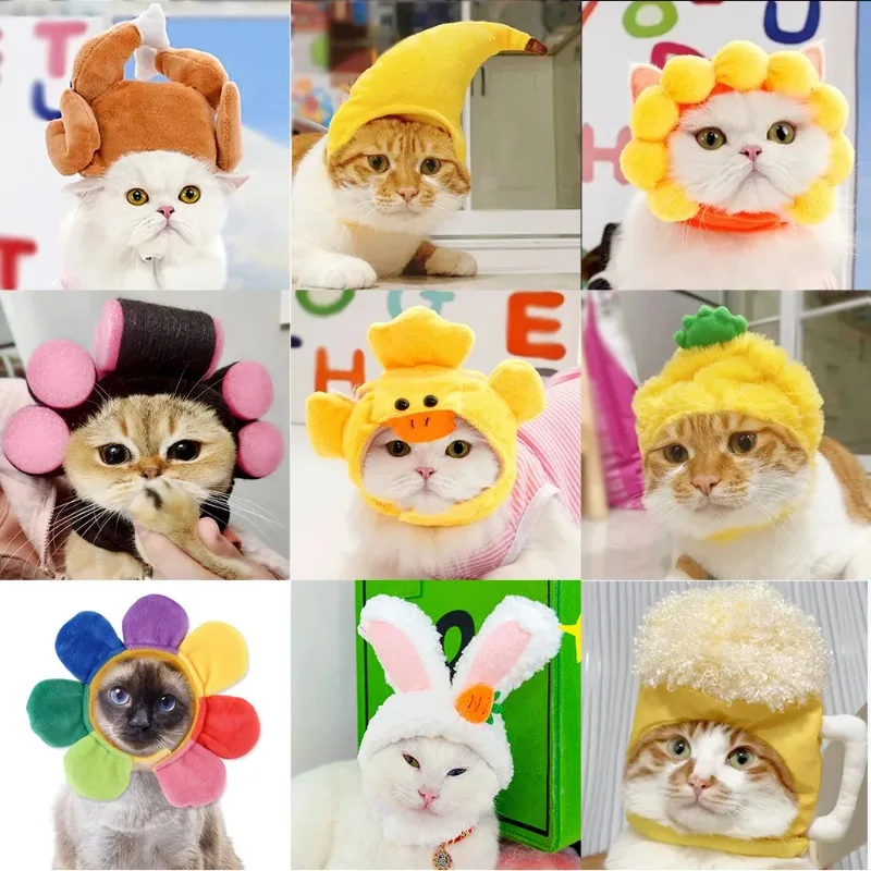 Funny Cat Cap Bear Plush Head Cover Cute Cat Dog Woven Warm Headdress Pet Hat Kitten Puppy Cosplay Costume Accessories