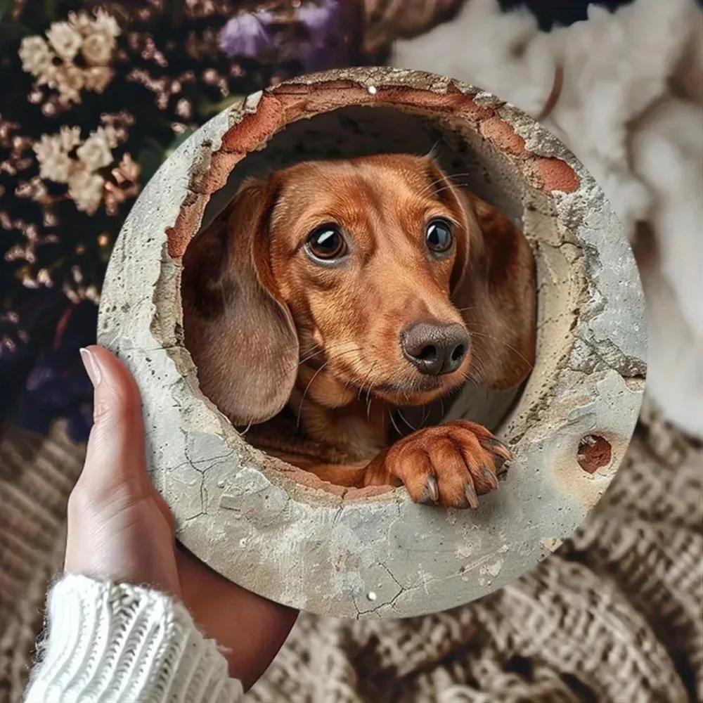 Dachshund In The Wa… - image