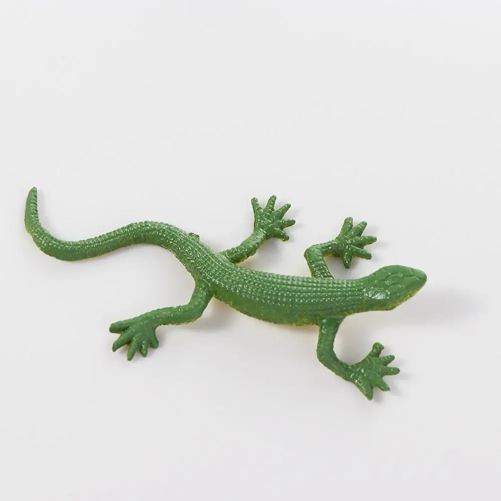 モデルおもちゃクモフィギュア PVC 偽昆虫ゴキブリ現実的な昆虫置物動物昆虫おもちゃ昆虫モデルシミュレーション昆虫