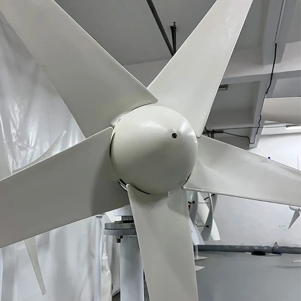 Imagem -05 - Gerador Horizontal 12v 24v 48v da Turbina Eólica da Energia Livre da Entrega Rápida 2000w com Controlador de Mppt para a Rua de Homeuse