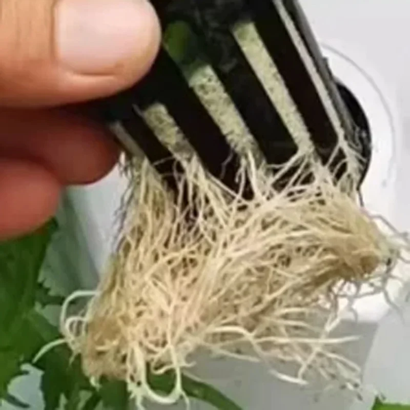 9/11-Tier Hydroponic Growing Kit System, Balcony Growing Rack, Indoor Vertical Hydroponic Tower, Recirculating Water System