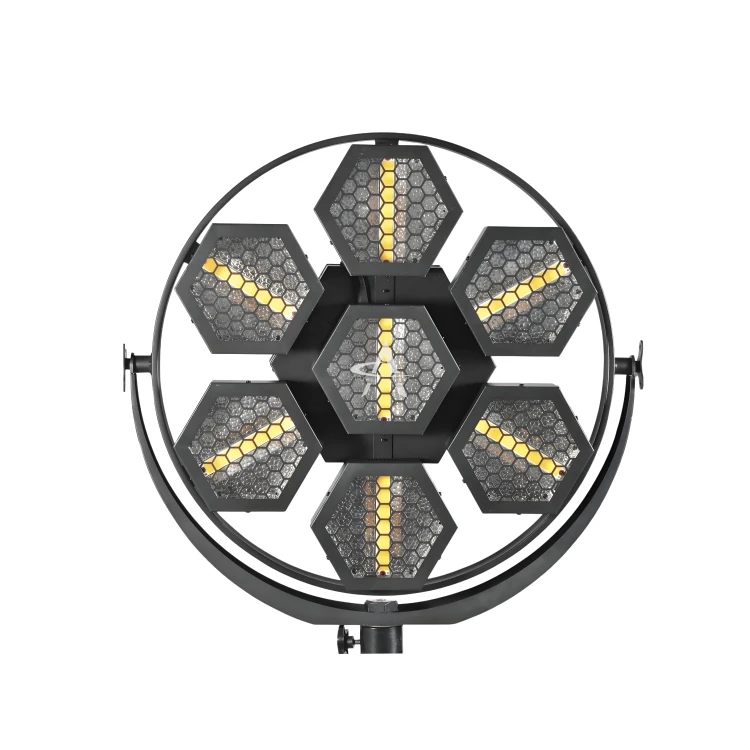 Lighting Profession…