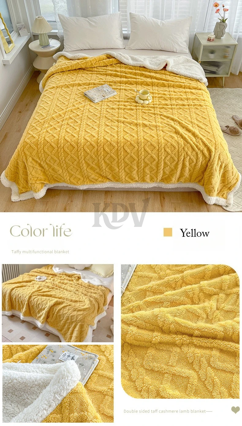 Double Layer Fleece Blanket Autumn Winter Thick Warm Office Nap Throw Blankets for Sofa Bed Single Double Soft Plush Comforter
