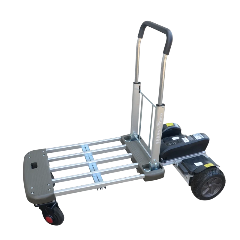 

Складная электрическая тележка D1T, 400 Вт-800 Вт, двойной бесщеточный двигатель, 36 В/48 В, 150-200 кг, грузоподъемность, диапазон 15-38 км для доставки в наличии