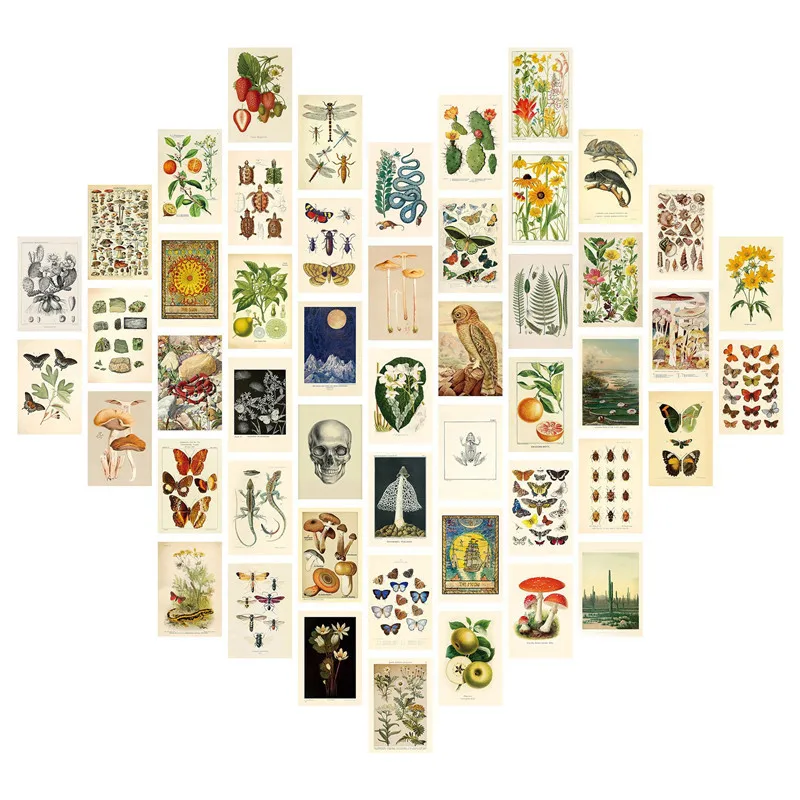 50PCS/Set Plant Flower Botanical Poster Biology Postcard Butterfly Mushrooms DIY Wall Art Kit Aesthetic Room Decor Painting