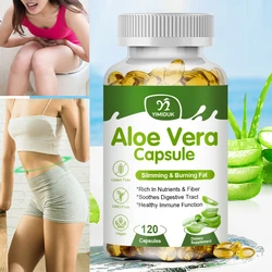 Aloe Vera Capsules Fat Burner Promotes Intestinal Motility Supports Digestive Immune Health Balanced Stomach Acidity Slimming