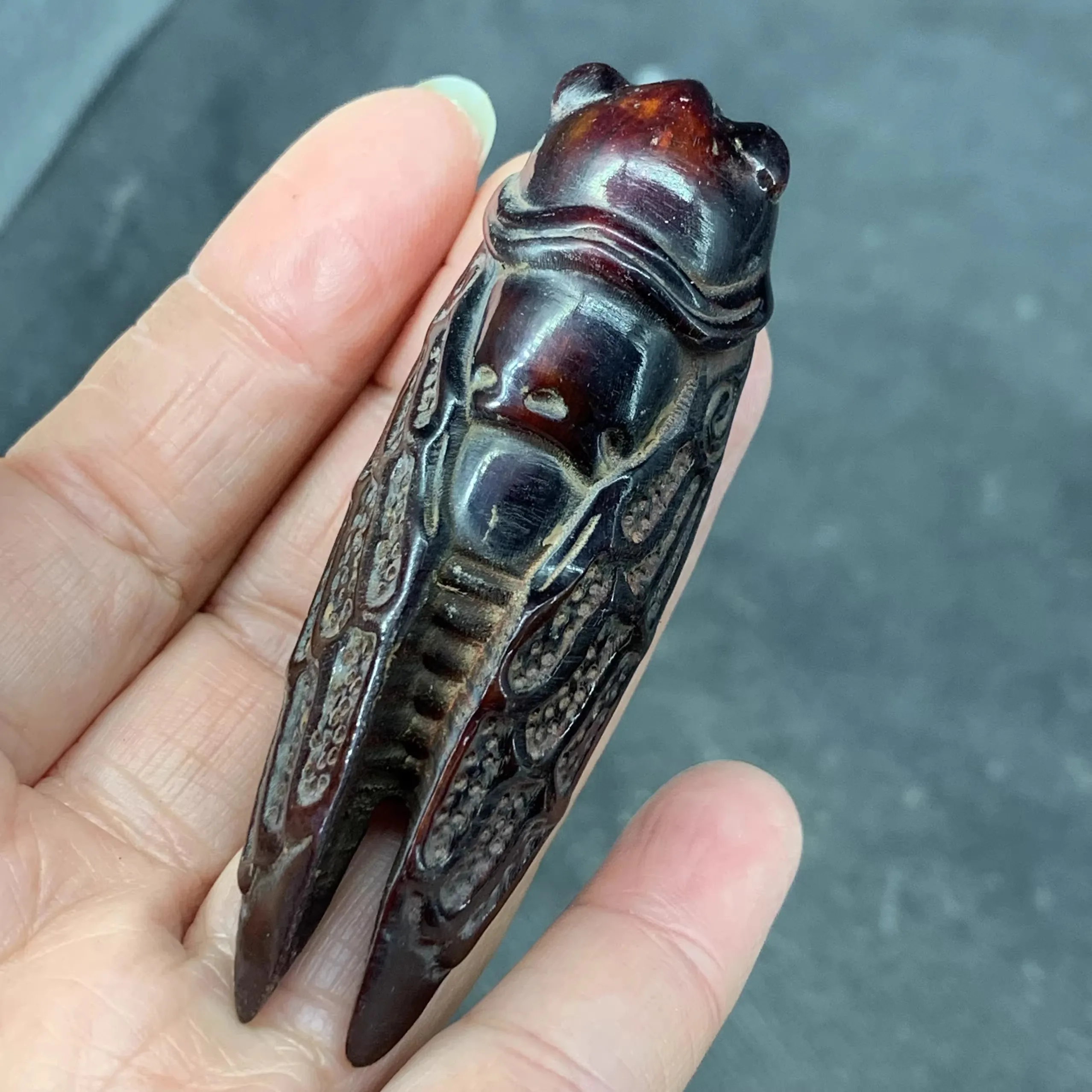 Collection Chinese Ox Horn Carved *Cicada* Pendant
