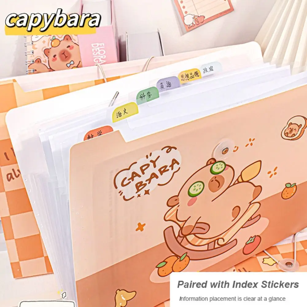 New Capybara A4 File Folder Creative Cartoon File Organizer 8/12 Pockets Large Capacity Portfolio