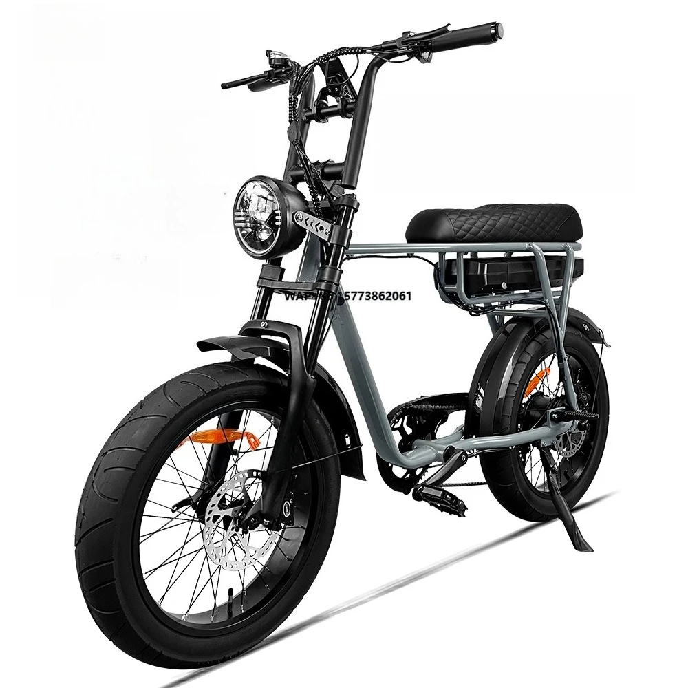 

1000W Adult Electric Fat Tire Tire City Road Bike Electric Hybrid Mountain Bike