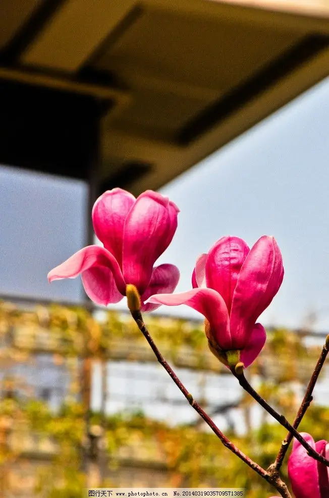 

4pcs(1set for 1 car) 1/64 Alloy 11mm Diameter Width 5.2mm Wheels Tires Axles for 1:64 Model Car Hotwheels/Tomy Modified