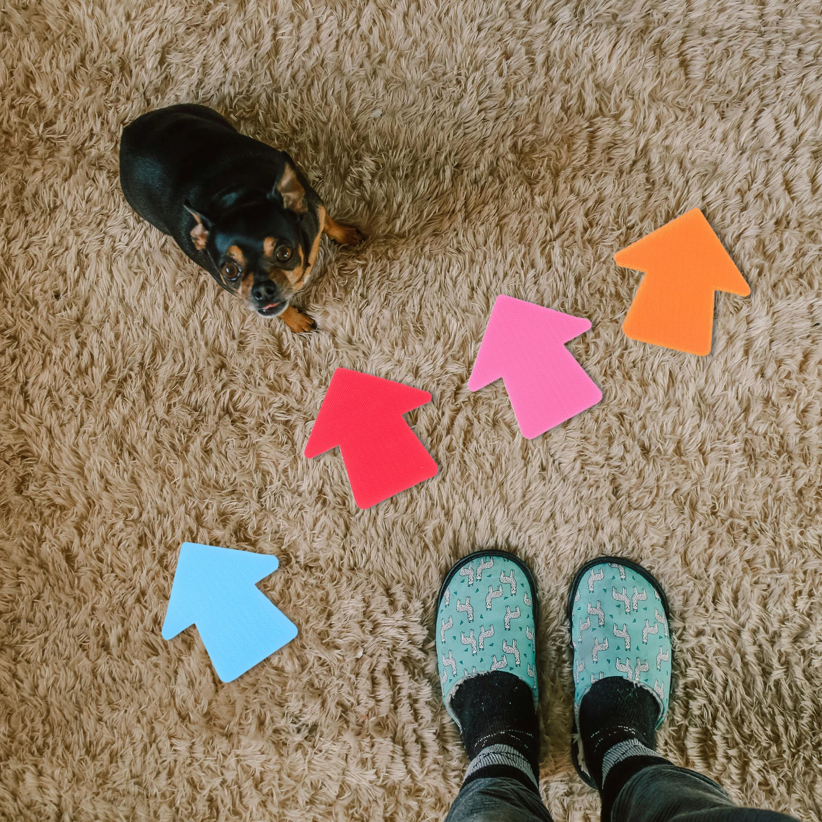 

20Pcs Arrow Shape Carpet Markers for Kids Non-Slip Educational Fun Classroom Spot Markers Colorful Agility Training Yoga Sports