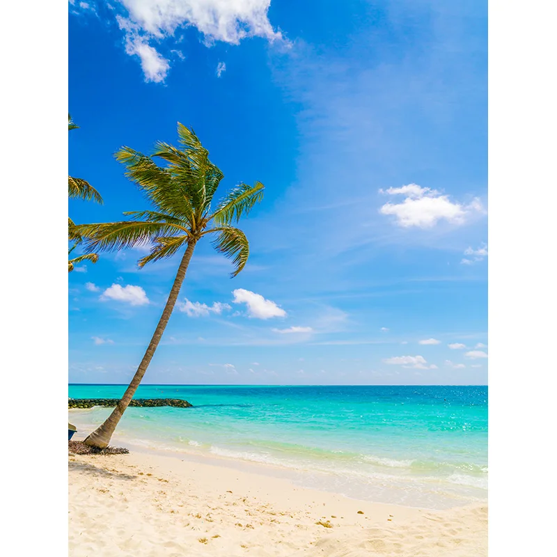 Tropical Sea Summer Vacations Island Landscape Photography Backdrops Coconut Palm Tree Sky Cloud Sandy Beach Background SD-10