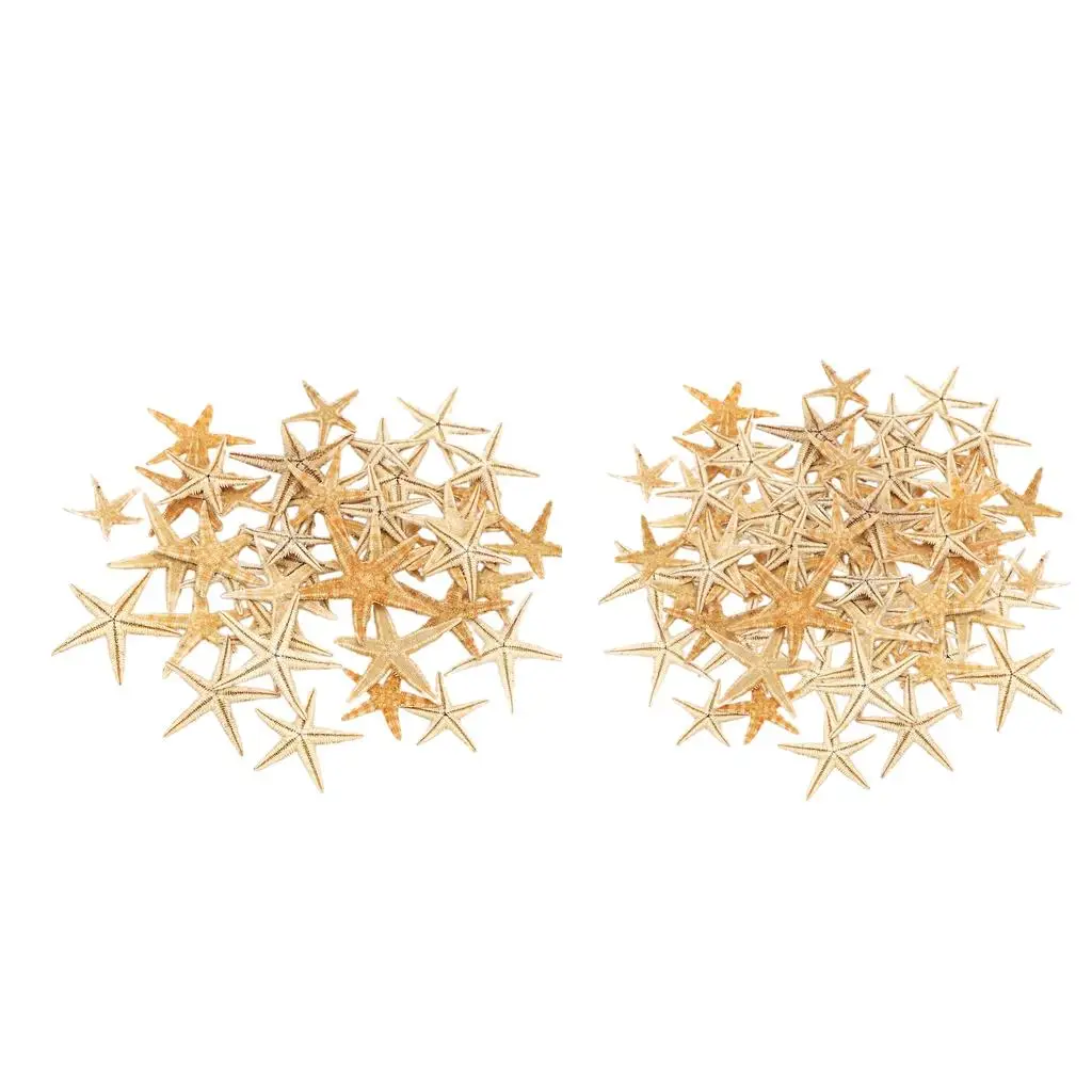 Natural Starfish Mini Starfish Shells Beach Shells Craft Decorating Gift
