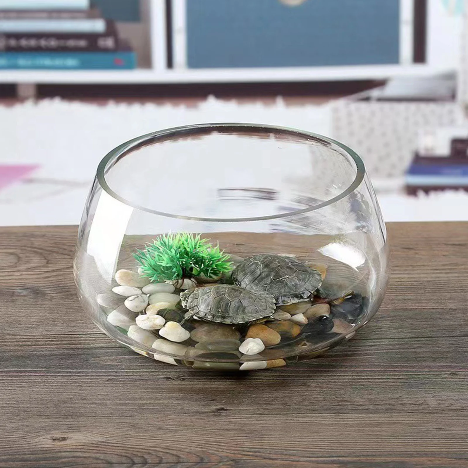 

Transparent Glass Fish Bowl Round Clear Small Aquarium Tank Desktop Landscaping Mini Terrarium Hydroponic Plant Bowl