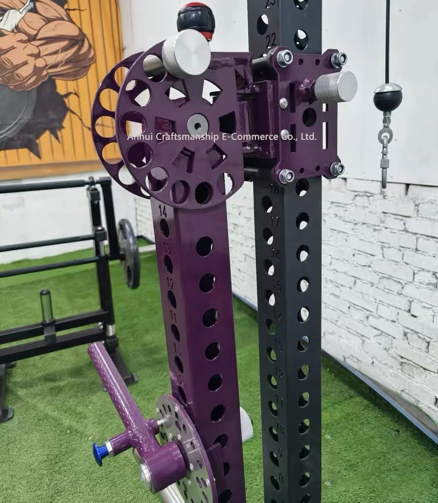 2026 Multi-Angle Lever Arms for Rack & Power Cage - Functional Trainer Attachment for Chest Shoulder Back Legs, Hip Adduction