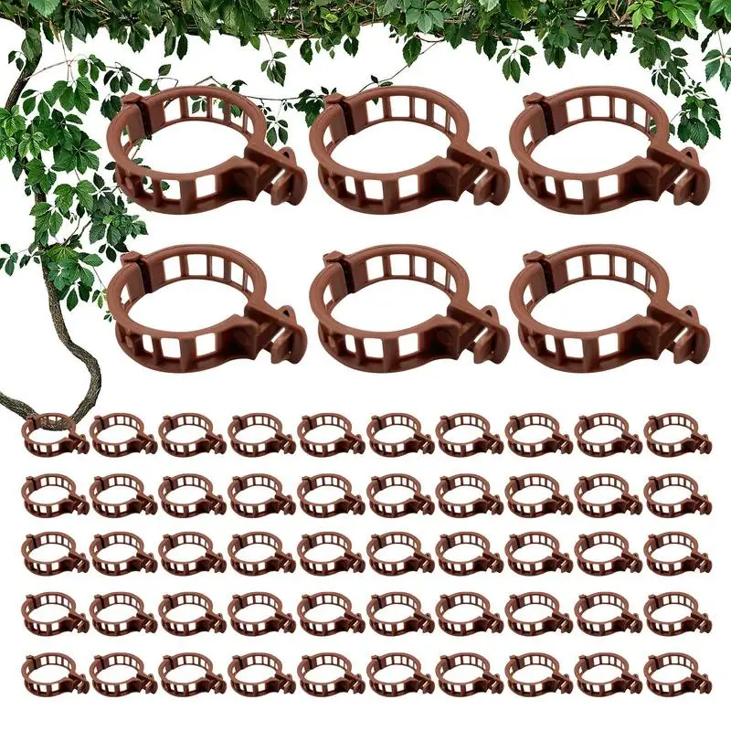 

Garden Support Clips Eco Friendly Firm Garden Clips 100PCS High Temperature Resistant Harmless Plant Clamps With Buckle For