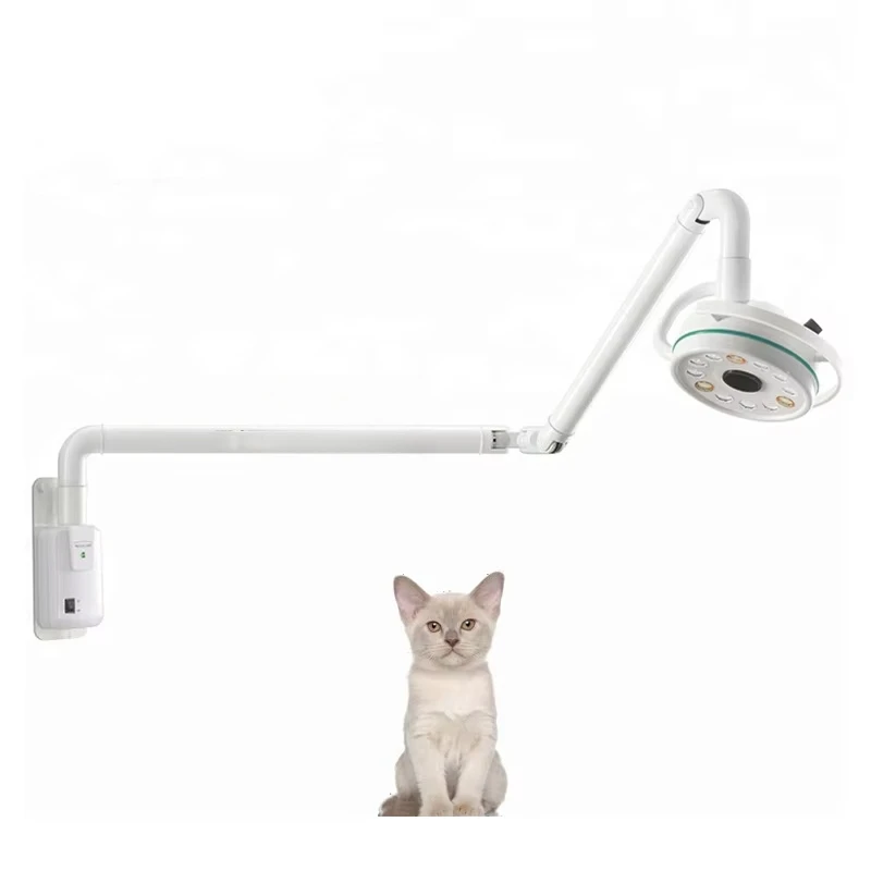 

EUR VET High Quality LED Exam Light Veterinary Clinic Ceiling Lighting For Dog Reliable Medical Surgery Equipment
