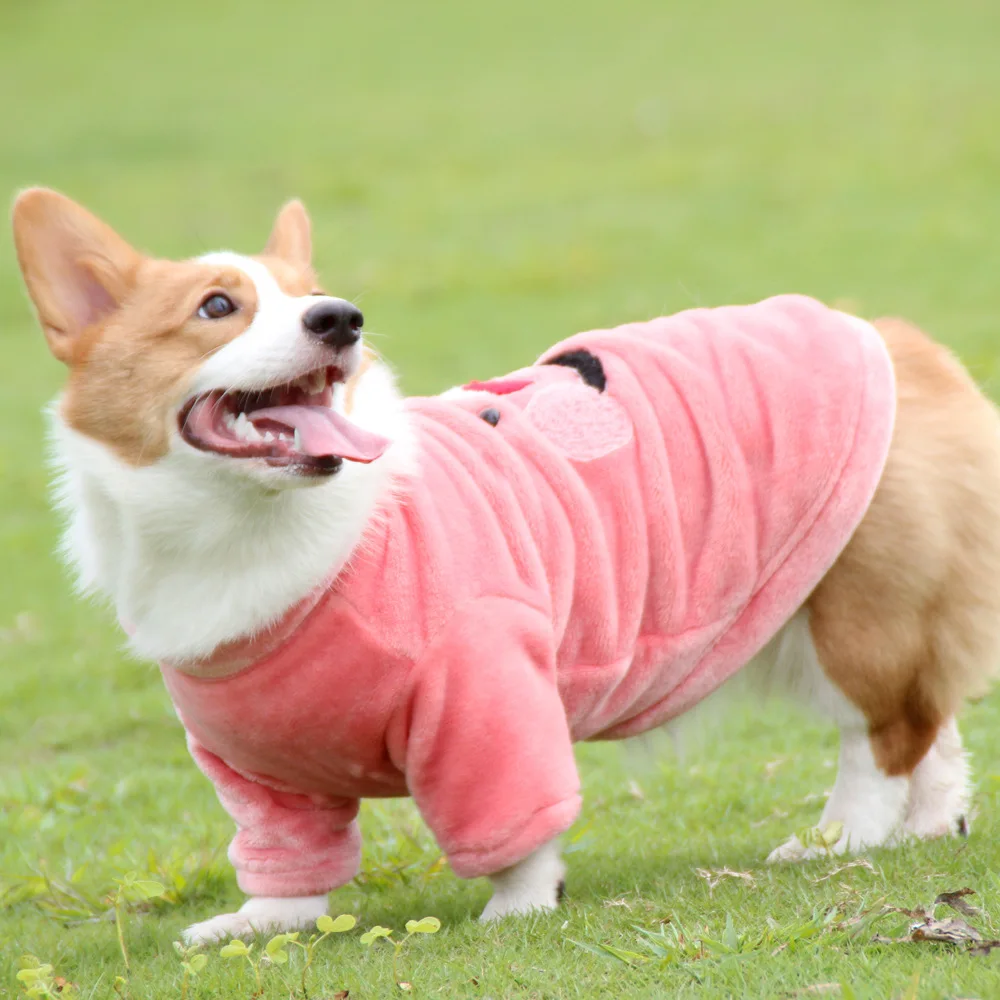 Disfraz navideño de Papá Noel para HALLOWEEN, traje de perro sonriente, tela de Color para perro y gato, Invierno