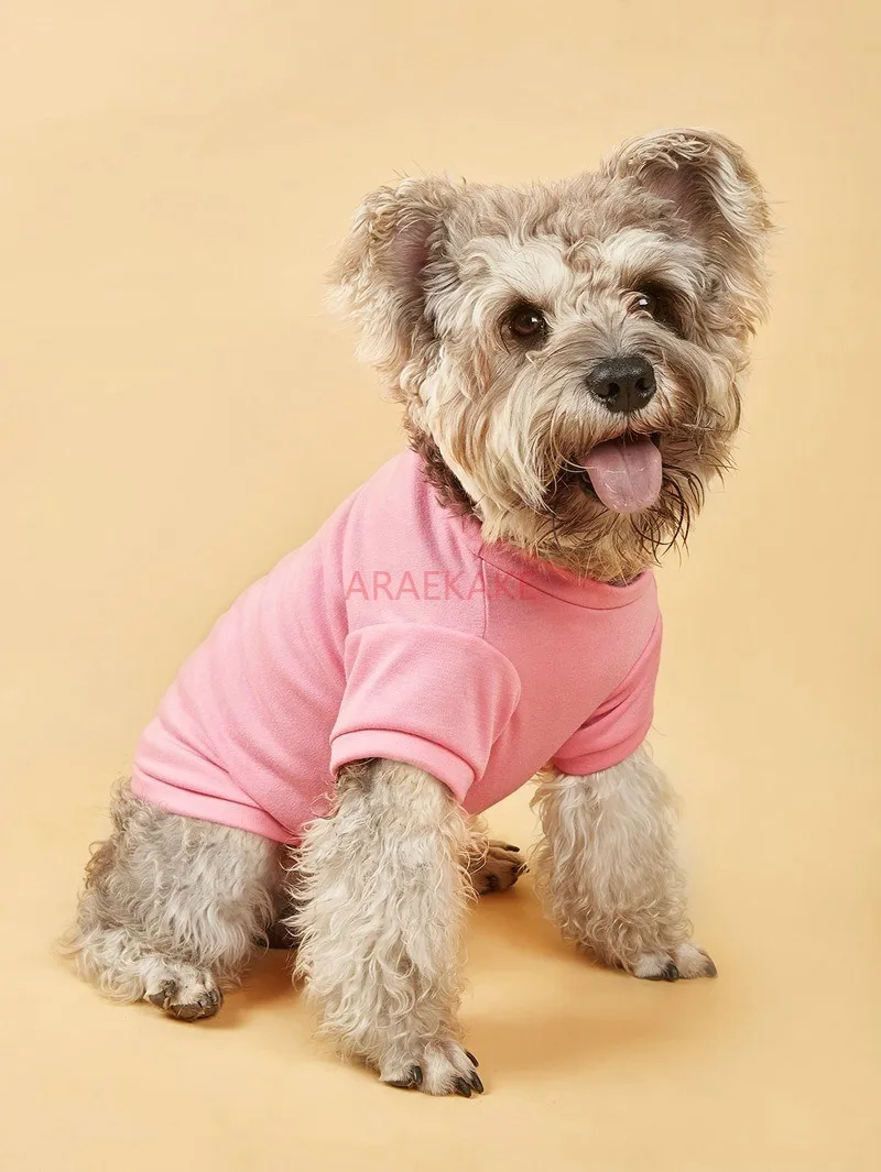 Dog round neck solid color hoodie for spring and summer cats, pet dogs, clothing T-shirt, thin design