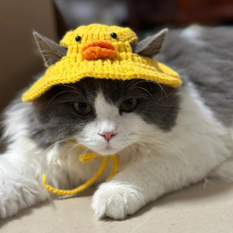 

Pet Hat Crocheted Pet Headdress Little Yellow Duck Cat Hat Dog Accessories Suitable for Small and Medium-sized Dogs and Cats