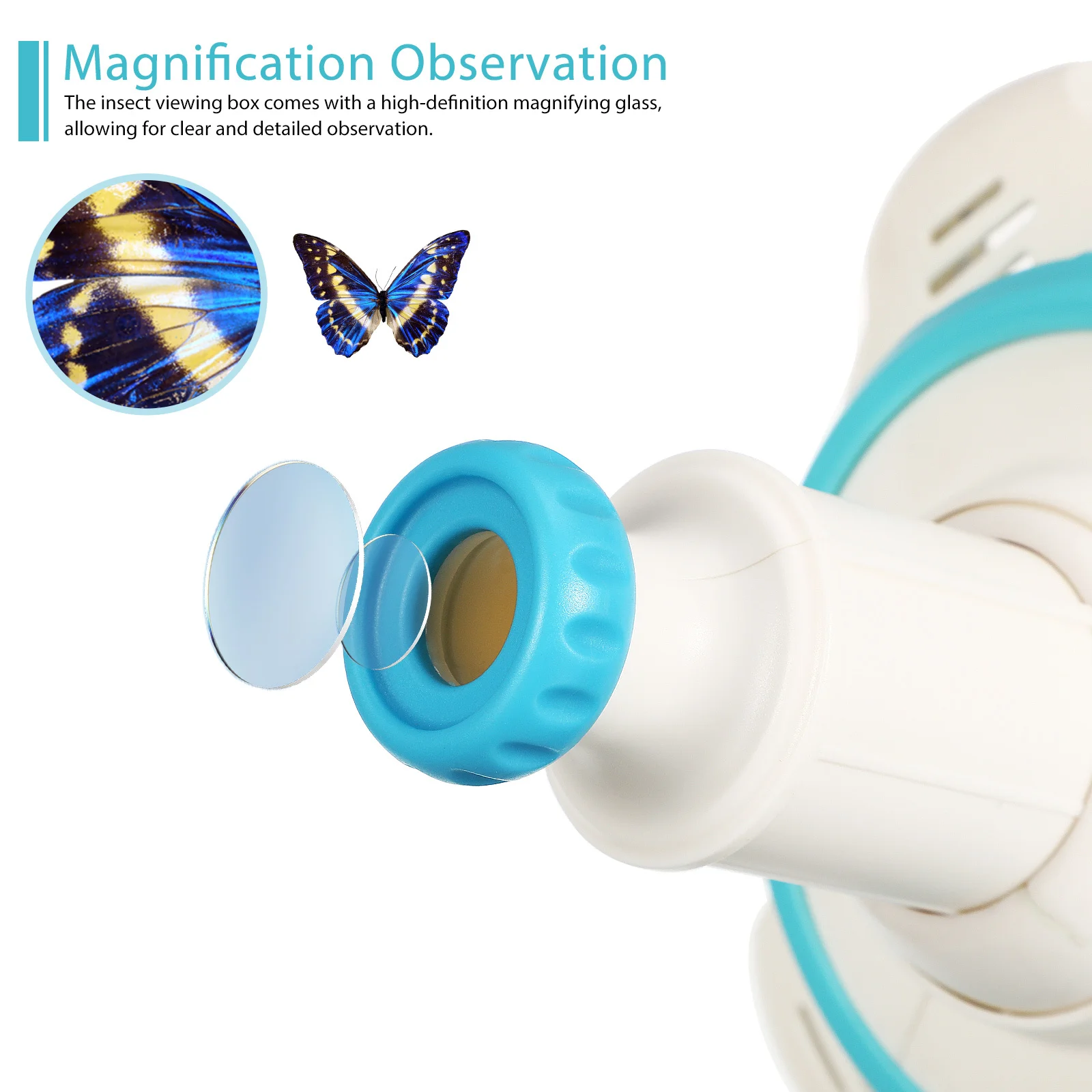 

Insect Observation Box Large Size Bug Magnifier for Comfortable Handle Nature Exploration Tool Insect Viewer