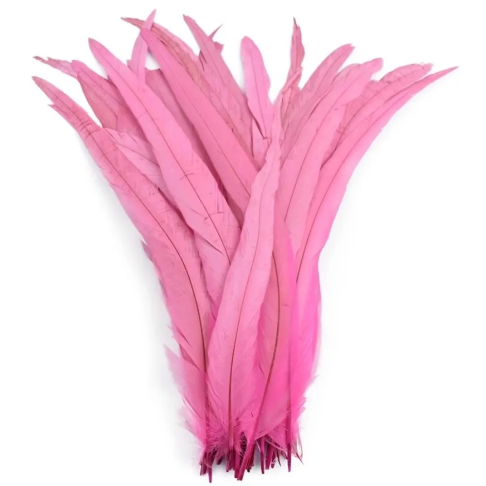 20Pcs Decorative Feather Plumes Rooster Tail Feathers 25-30cm Length Natural Feather Natural Rooster Feathers Smooth Surface