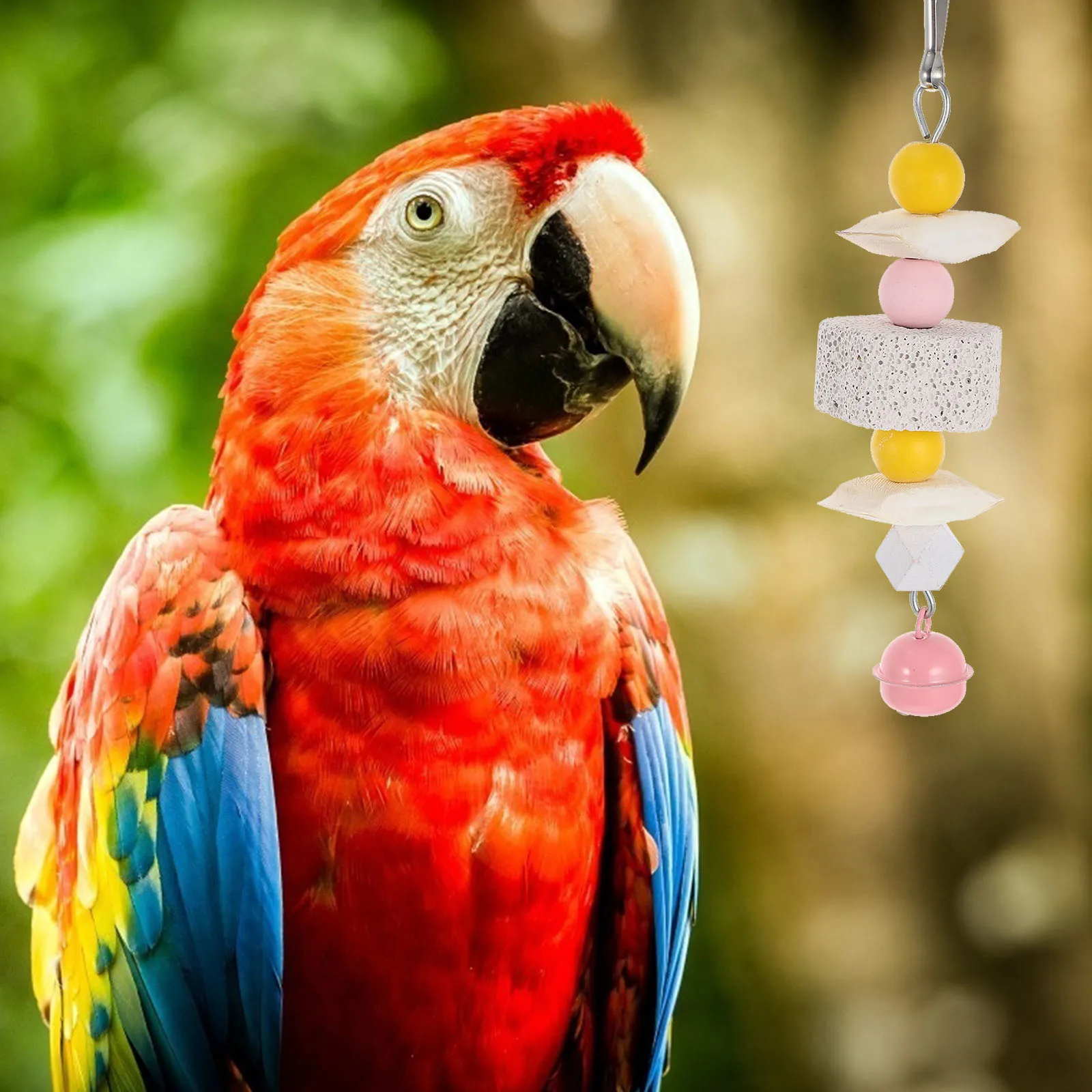 

Hanging Parrot Molar Pendants Safe Durable Material Bright Color Easy Install Lightweight Portable Pet Birds Chewing Plaything