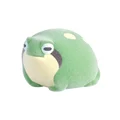Moegi rain frog